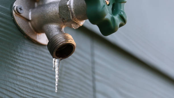 Sprinkler Systems in Millington, TN